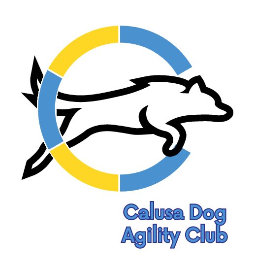 Calusa Dog Agility Club